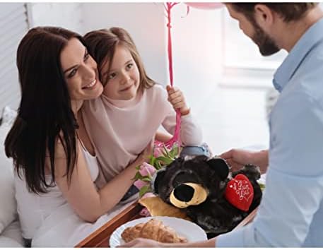 DolliBu I Love You Valentine Black Bear Plush with Pillow