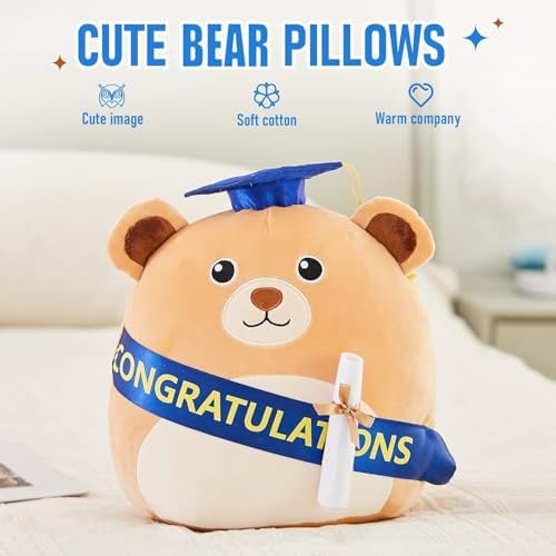 Cuddle up with a Graduation Bear Pillow for Boys and Girls