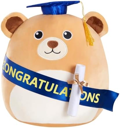 Cuddle up with a Graduation Bear Pillow for Boys and Girls