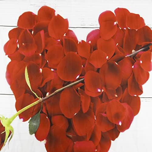 LB Red Rose Flower 72x72-Inch