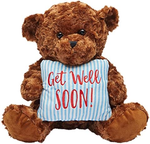 Blue Panda Get Well Soon Bear Plush Pillow Gift