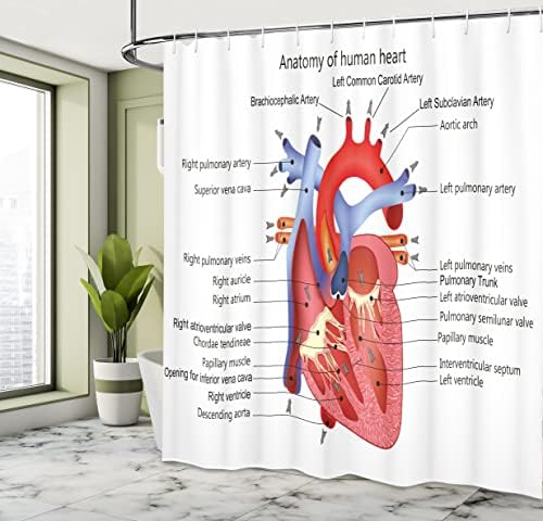 Ambesonne Science Shower Curtain Set for Bathrooms Unique anatomy design