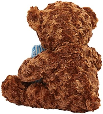 Blue Panda Get Well Soon Bear Plush Pillow Gift