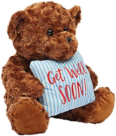 Blue Panda Get Well Soon Bear Plush Pillow Gift