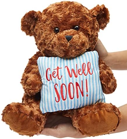 Blue Panda Get Well Soon Bear Plush Pillow Gift