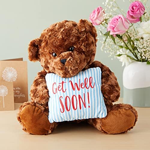Blue Panda Get Well Soon Bear Plush Pillow Gift