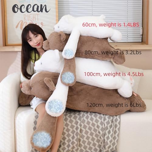 VIBRANT WEIGHTED BEAR STUFFED ANIMALS