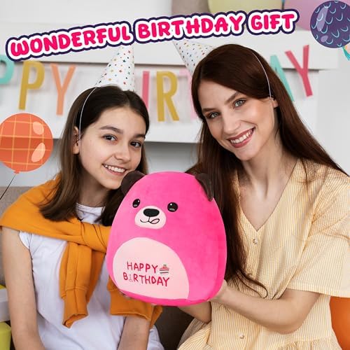 Mishmallow 12 Birthday Bear Plush Pillow Hot Pink