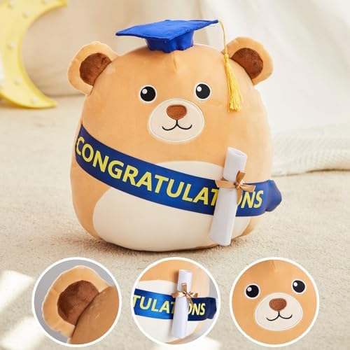 Cuddle up with a Graduation Bear Pillow for Boys and Girls