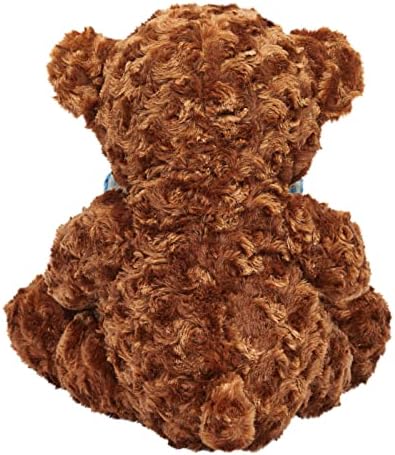 Blue Panda Get Well Soon Bear Plush Pillow Gift