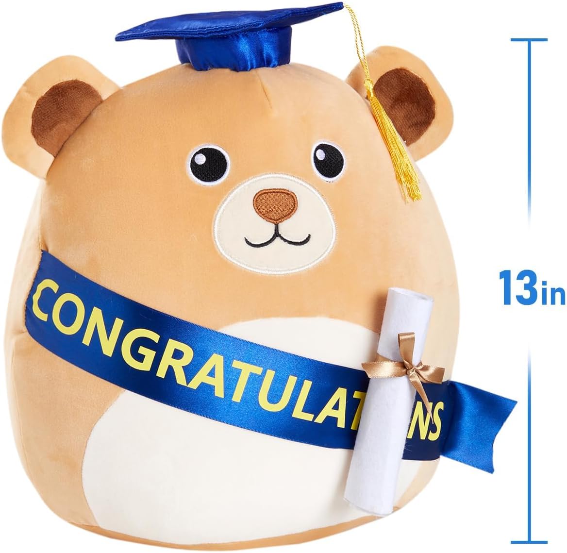 Cuddle up with a Graduation Bear Pillow for Boys and Girls